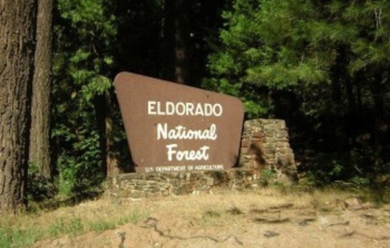 Backroads Smashup In Eldorado Forest Leaves 7-Year-Old Badly Hurt
