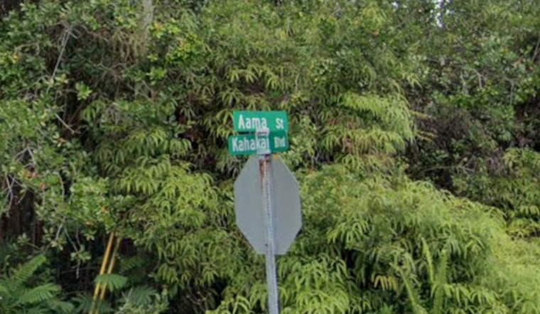 Aʻama Street Locked Down in Puna Police Activity, Reopens by Morning