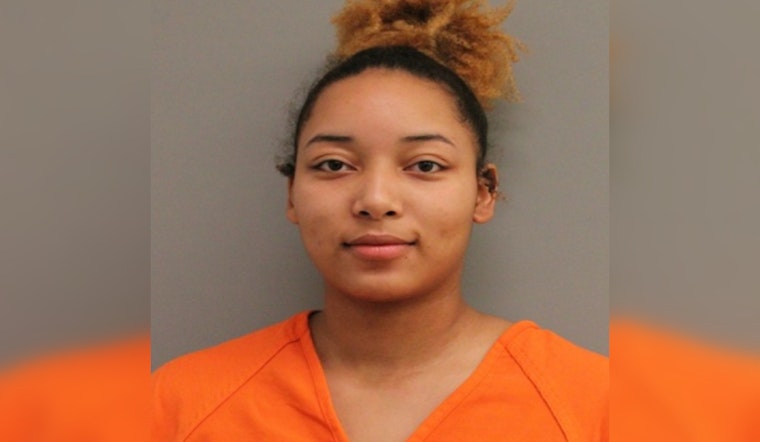 Adrianna Guida Faces Evading Arrest Charge After Leading Deputies on Chase in Harris County