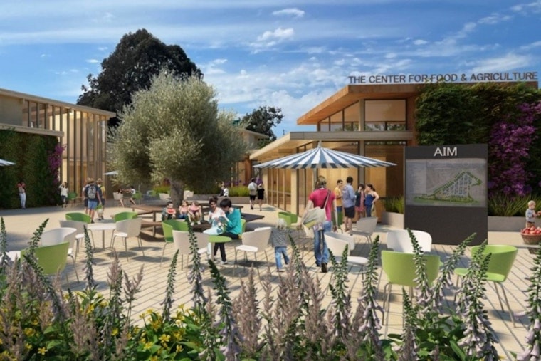 After Decade of Drama, Marin Farmers Market Finally Plants Roots at Civic Center