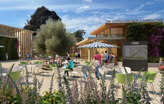 After Decade of Drama, Marin Farmers Market Finally Plants Roots at Civic Center