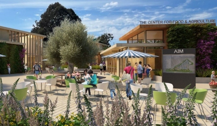 After Decade of Drama, Marin Farmers Market Finally Plants Roots at Civic Center
