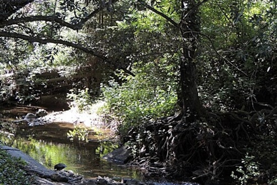 Aging Marin Lifeline Finally Gets Fix as Board OKs San Geronimo Pipeline Overhaul