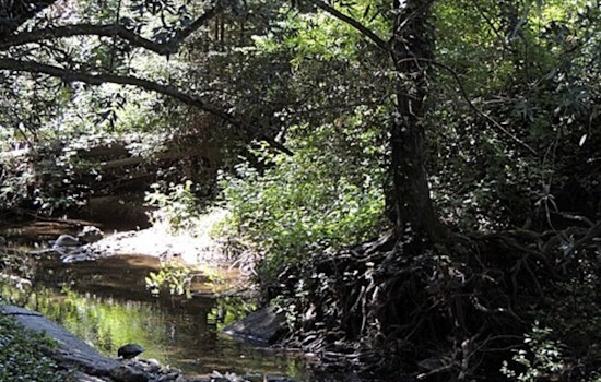 Aging Marin Lifeline Finally Gets Fix as Board OKs San Geronimo Pipeline Overhaul