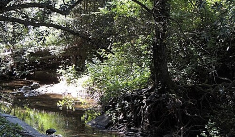 Aging Marin Lifeline Finally Gets Fix as Board OKs San Geronimo Pipeline Overhaul