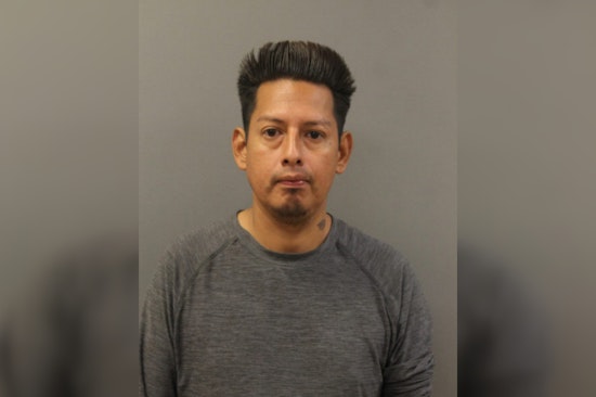 Albany Park Beating Turns Deadly, Judge Drops 20-Year Hammer
