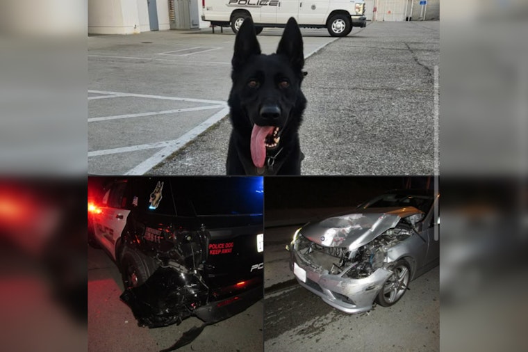 Alhambra K9 Unit Unharmed After Being Struck by DUI Suspect Anthony Ruiz; Police Emphasize Holiday Safety
