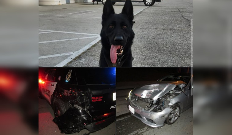 Alhambra K9 Unit Unharmed After Being Struck by DUI Suspect Anthony Ruiz; Police Emphasize Holiday Safety
