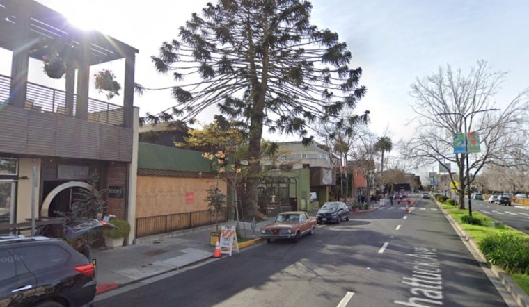 Alice Waters' Bar Panisse Muscles Into Berkeley, Opening this Week