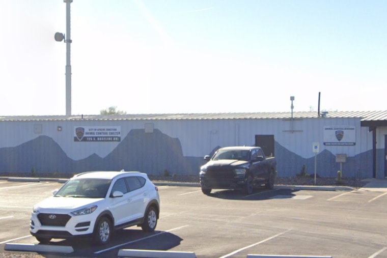 Apache Junction Offers Free Christmas Tree Disposal to Promote Sustainability Post-Holidays