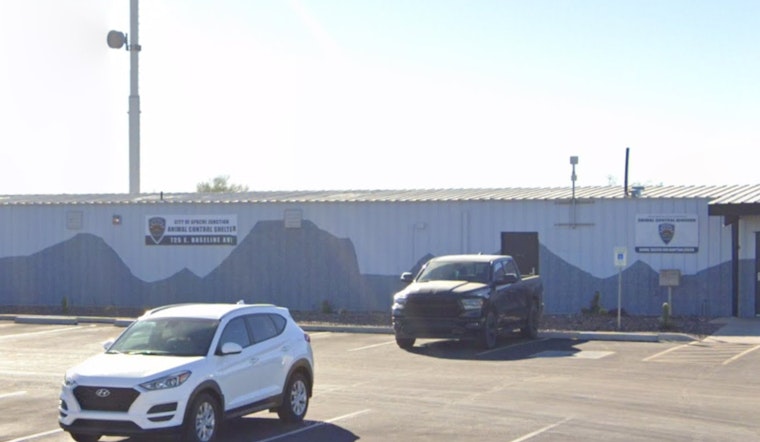 Apache Junction Offers Free Christmas Tree Disposal to Promote Sustainability Post-Holidays