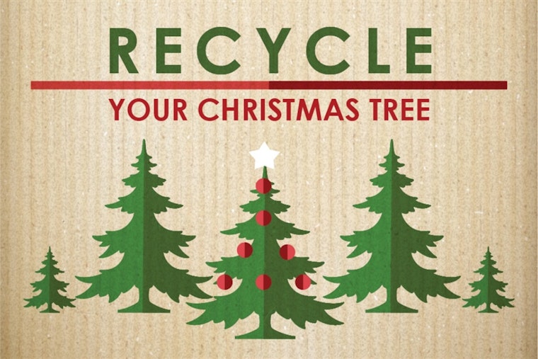 Arlington Offers Sustainable Post-Holiday Bliss with Christmas Tree Recycling Program