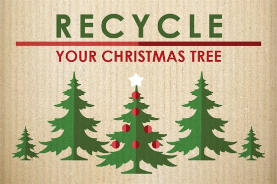 Arlington Offers Sustainable Post-Holiday Bliss with Christmas Tree Recycling Program
