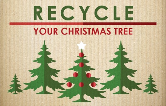 Arlington Offers Sustainable Post-Holiday Bliss with Christmas Tree Recycling Program