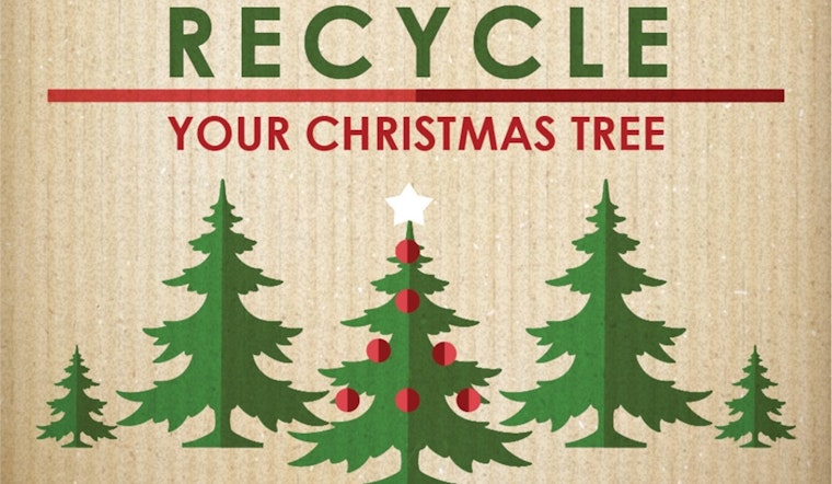Arlington Offers Sustainable Post-Holiday Bliss with Christmas Tree Recycling Program