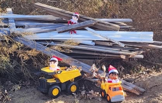 Arlington Public Works Tackles Illegal Dumping in Festive Cleanup Effort