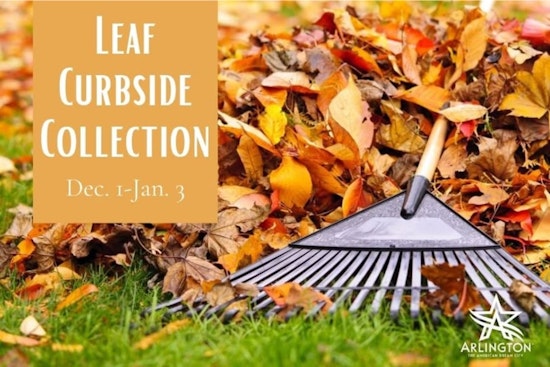 Arlington Steps Up Leaf Collection Efforts, Republic Services Adds Routes for a Cleaner City