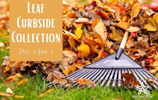 Arlington Steps Up Leaf Collection Efforts, Republic Services Adds Routes for a Cleaner City