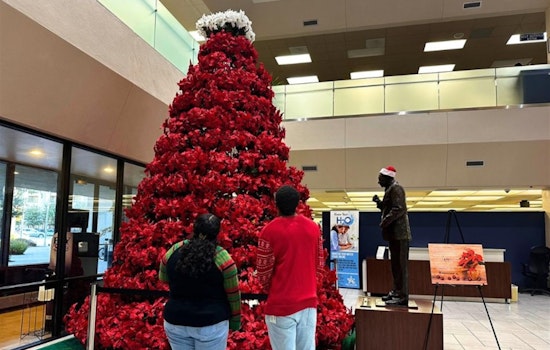 Arlington's Beloved Vandergriff Poinsettia Tree Returns to City Hall for Festive Cheer