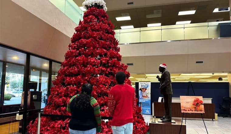 Arlington's Beloved Vandergriff Poinsettia Tree Returns to City Hall for Festive Cheer