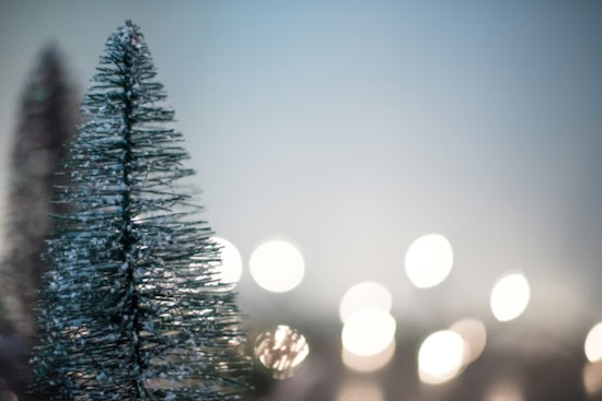 Atlantic Beach Announces Post-Holiday Christmas Tree Collection Schedule and Disposal Guidelines