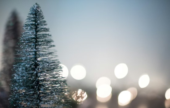 Atlantic Beach Announces Post-Holiday Christmas Tree Collection Schedule and Disposal Guidelines