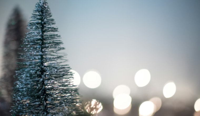 Atlantic Beach Announces Post-Holiday Christmas Tree Collection Schedule and Disposal Guidelines