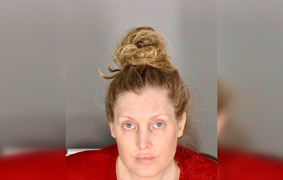 Auburn Hills Woman Charged With Felonies for Purse Snatching at Rochester Hills Grocery Stores