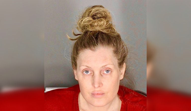 Auburn Hills Woman Charged With Felonies for Purse Snatching at Rochester Hills Grocery Stores