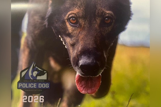 Auburn Police Department's 2026 Calendar Sales Support Retired Canine Heroes