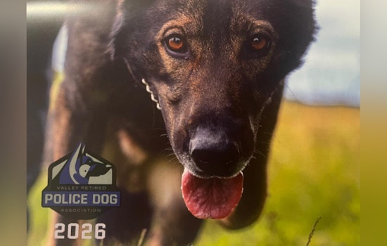 Auburn Police Department's 2026 Calendar Sales Support Retired Canine Heroes