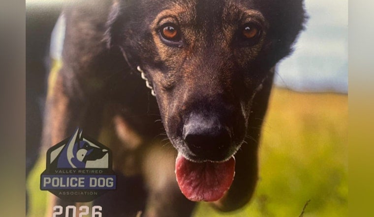 Auburn Police Department's 2026 Calendar Sales Support Retired Canine Heroes