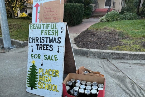 Auburn Police Discover 29 Jars of 'Free Weed' Near High School, Sparking Concern and Humor