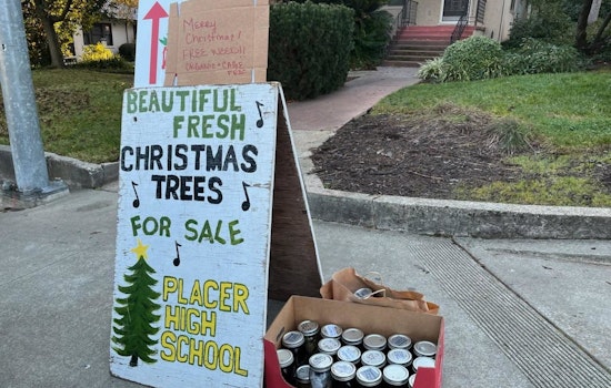 Auburn Police Discover 29 Jars of 'Free Weed' Near High School, Sparking Concern and Humor