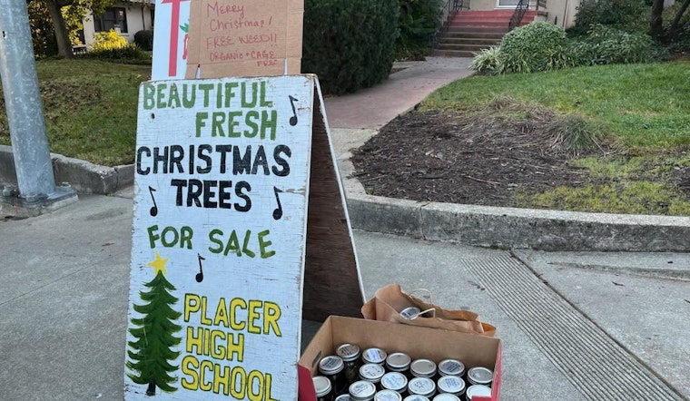 Auburn Police Discover 29 Jars of 'Free Weed' Near High School, Sparking Concern and Humor