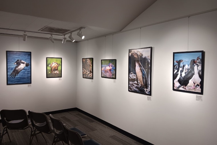 Aurora History Museum Celebrates US-Peru Ties with Biodiversity Exhibition and Seeks Community Input for Local History Projects
