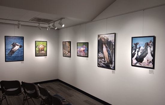 Aurora History Museum Celebrates US-Peru Ties with Biodiversity Exhibition and Seeks Community Input for Local History Projects