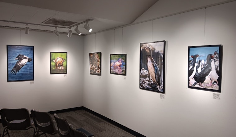 Aurora History Museum Celebrates US-Peru Ties with Biodiversity Exhibition and Seeks Community Input for Local History Projects