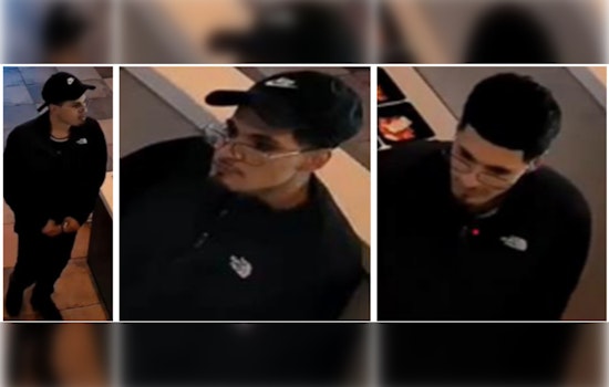Austin Police Seek Public's Aid in Identifying Suspects in Auto Theft and Debit Card Fraud Case