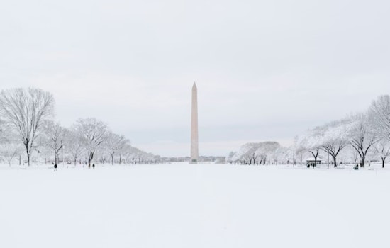 Baltimore and Washington DC Hit by Strong Arctic Front: High Winds and Snow Cause Travel Woes