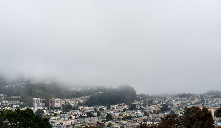 Bay Area Welcomes Mild Weather Boost, Tule Fog Challenges North and East Bay Visibility