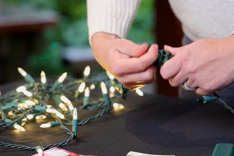 Bellevue Embraces Sustainability and Inclusivity with Holiday Tips and Community Initiatives