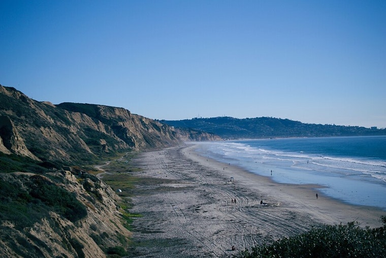 Black’s Beach Sting Nearly Costs Former Local His Foot, But He’s Still Going Back In