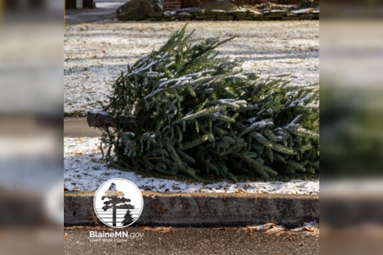 Blaine Residents Invited to Recycle Their Christmas Trees with Walters Recycling and Refuse Post-Holiday Season