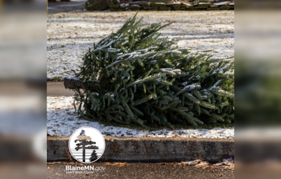 Blaine Residents Invited to Recycle Their Christmas Trees with Walters Recycling and Refuse Post-Holiday Season