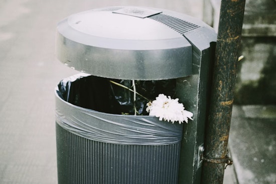 Bloomington Adjusts Trash Collection Schedule Amid Freezing Temperatures for Public Safety
