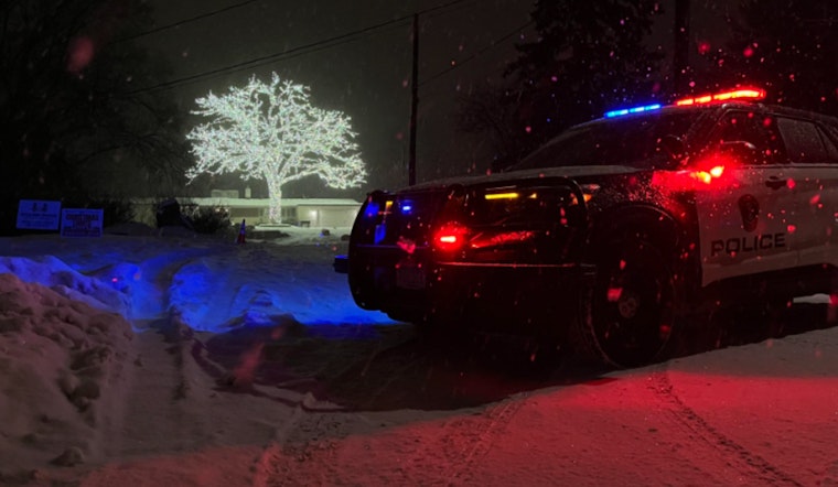 Bloomington's Beloved Oak Tree Sparkles Again: The Holiday Tradition Returns After a Decade