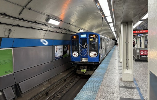 Blue Line Horror As Man Sets Himself On Fire At Damen Stop