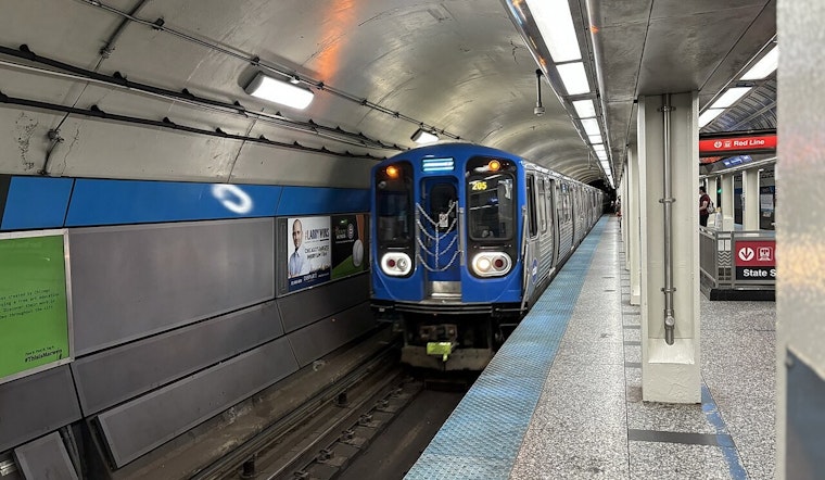 Blue Line Horror As Man Sets Himself On Fire At Damen Stop