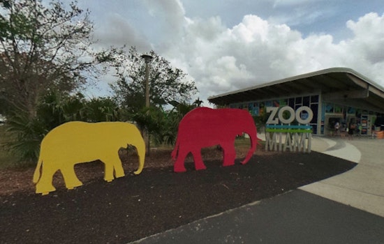Bomb Threat Prompts Precautionary Evacuation and Temporary Closure of Zoo Miami